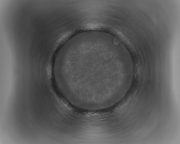 X0000112390640200908271340