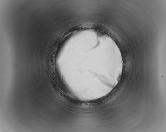 X0000112390641200908271340