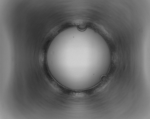 X0000112390645200908271340