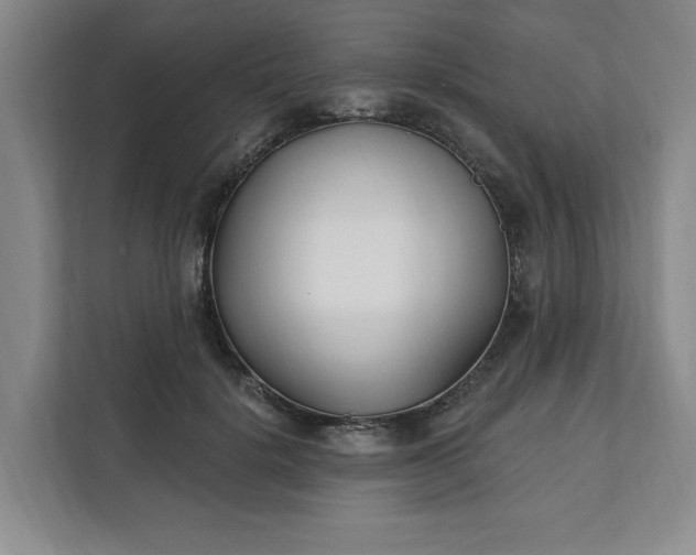 X0000112390652200908271341