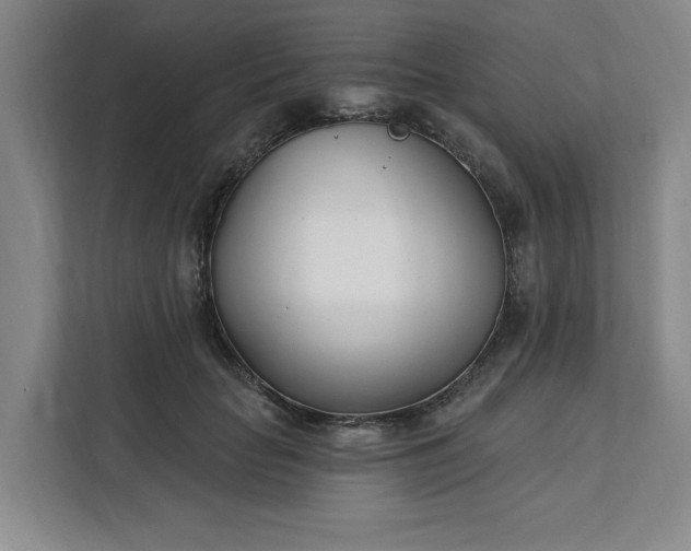 X0000112390653200908271341