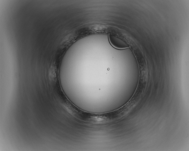 X0000112390654200908271341