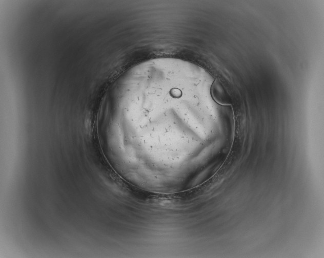 X0000112390655200908271341