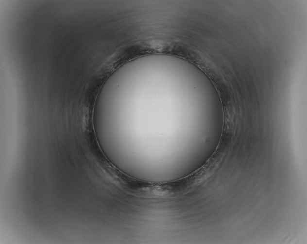 X0000112390656200908271341