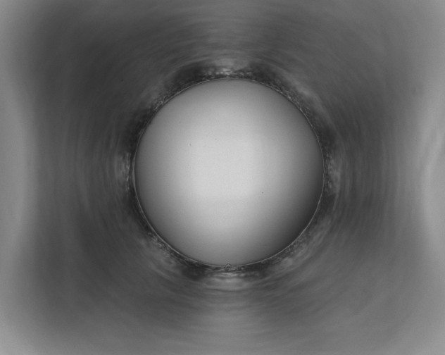 X0000112390657200908271341