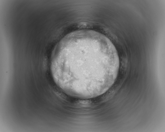 X0000112390659200908271341