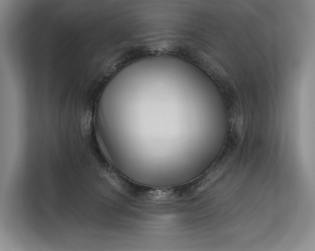 X0000112390660200908271341