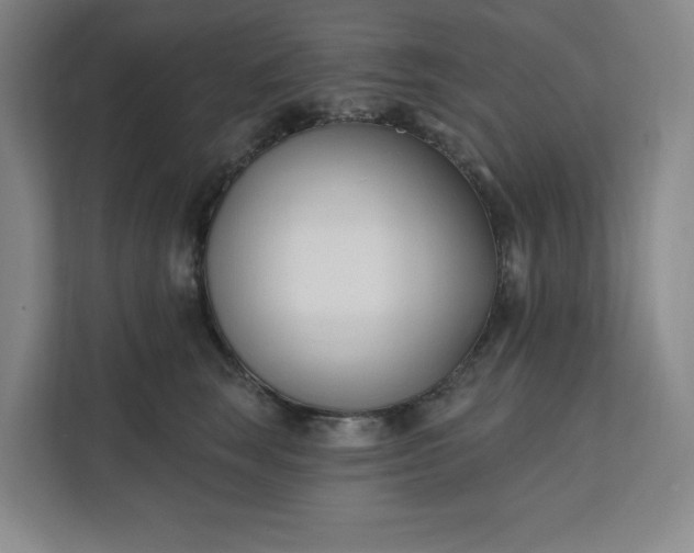 X0000112390663200908271341