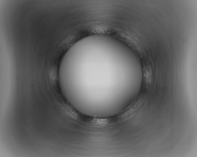 X0000112390665200908271341