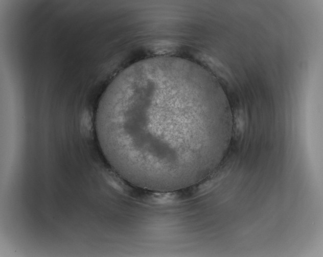 X0000112390667200908271341