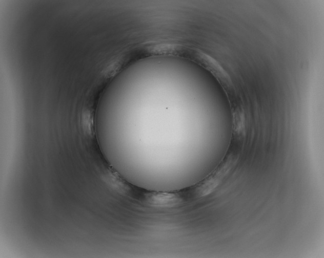 X0000112390669200908271341