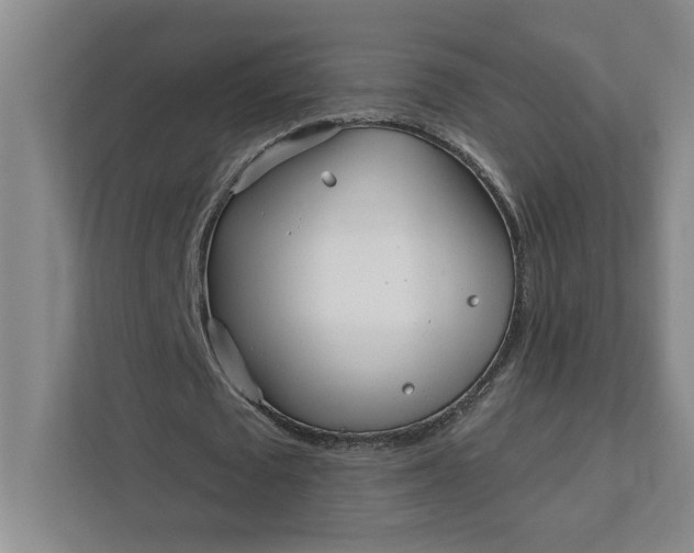 X0000112390673200908271340