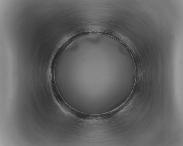 X0000112390674200908271340