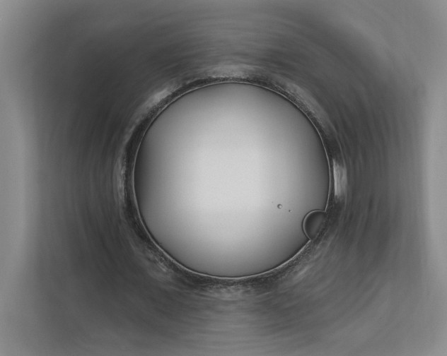 X0000112390675200908271340