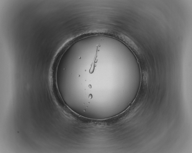 X0000112390676200908271340