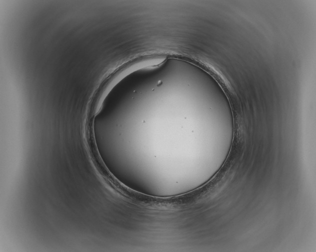 X0000112390677200908271340