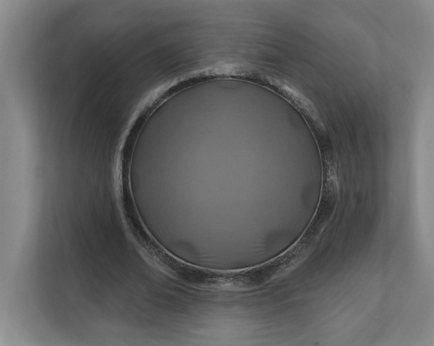 X0000112390678200908271340