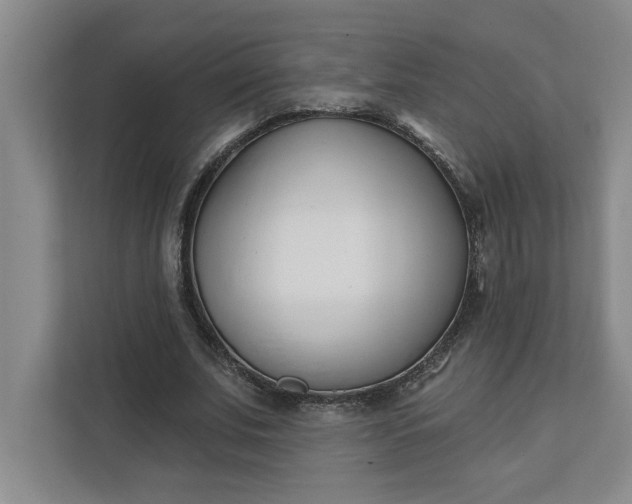 X0000112390679200908271340