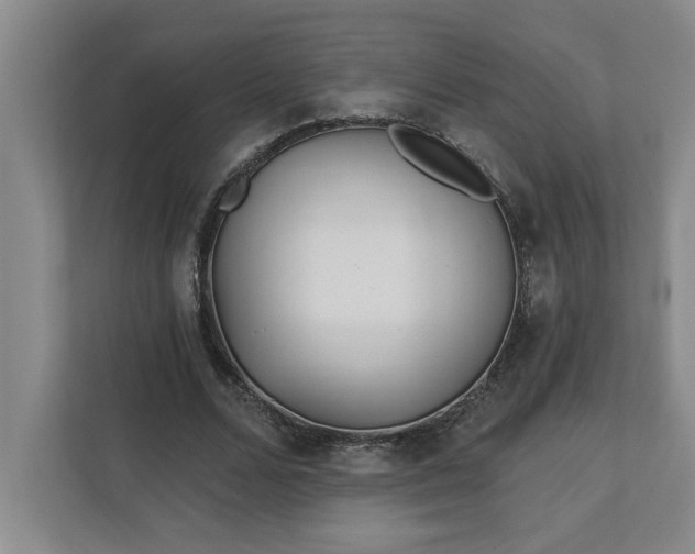 X0000112390680200908271340