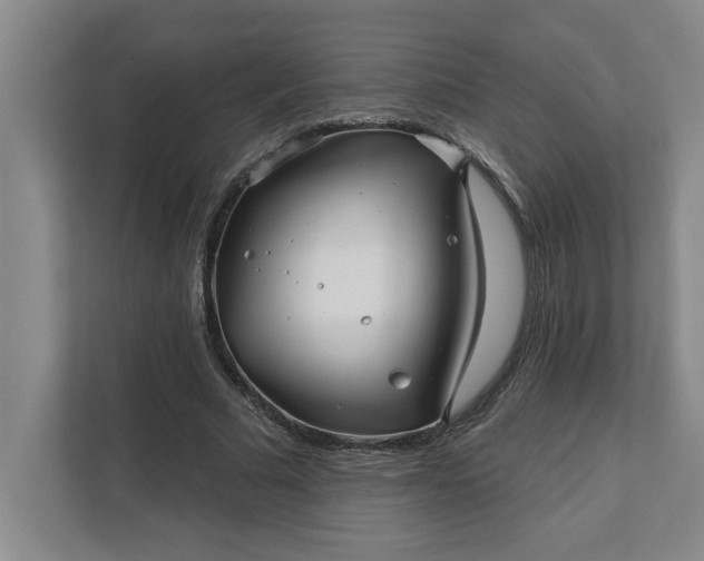 X0000112390681200908271340