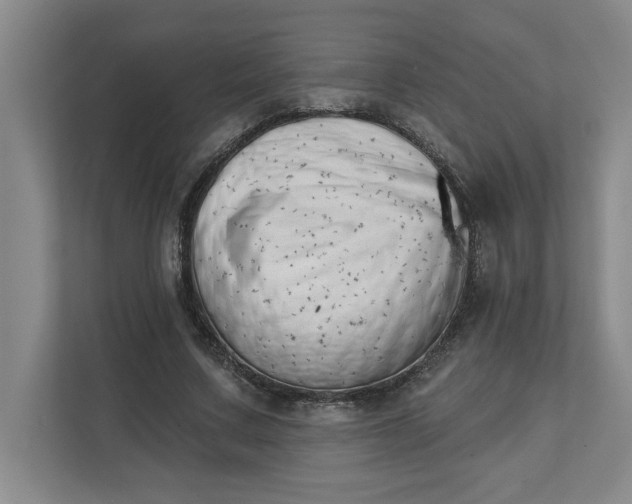 X0000112390683200908271340