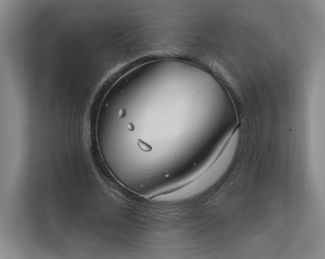 X0000112390684200908271340