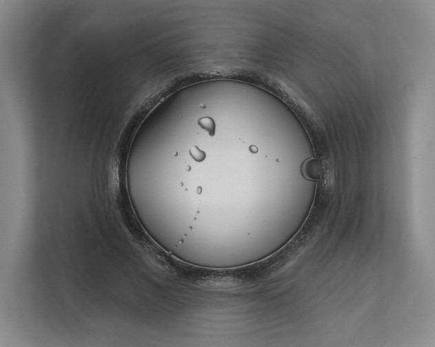 X0000112390685200908271340