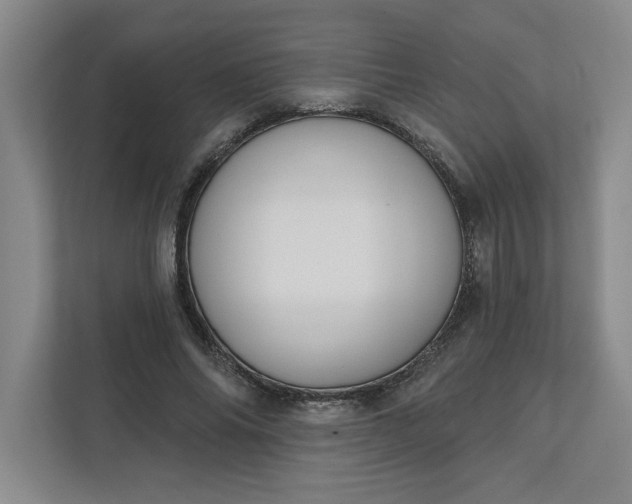 X0000112390686200908271340