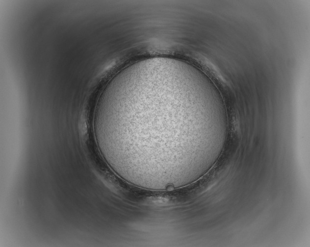 X0000112390687200908271340