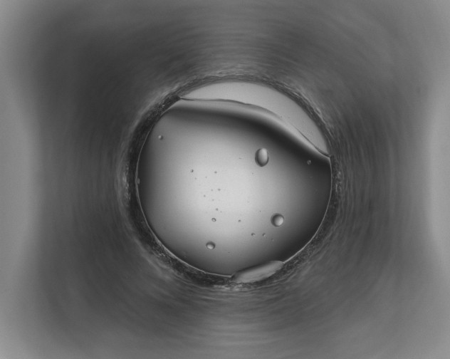 X0000112390688200908271340