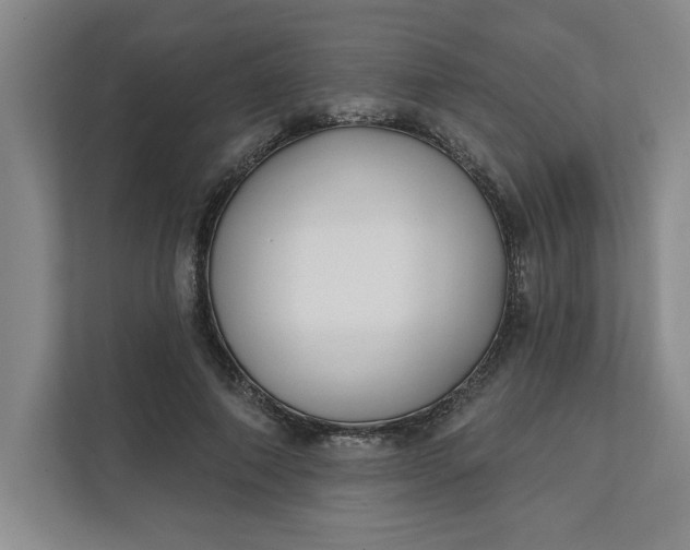 X0000112390690200908271340