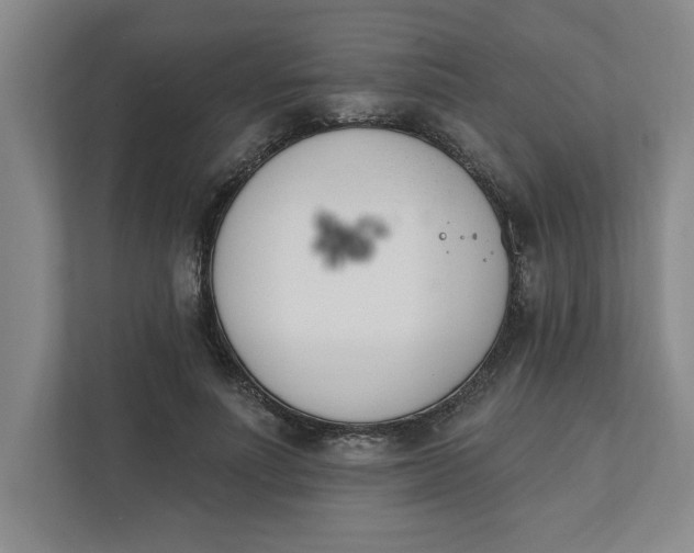 X0000112390691200908271340