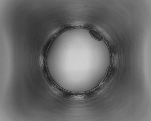 X0000112390692200908271340