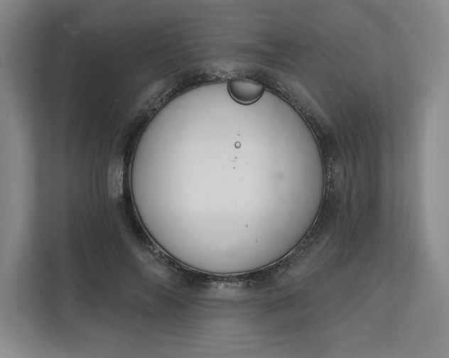 X0000112390694200908271340