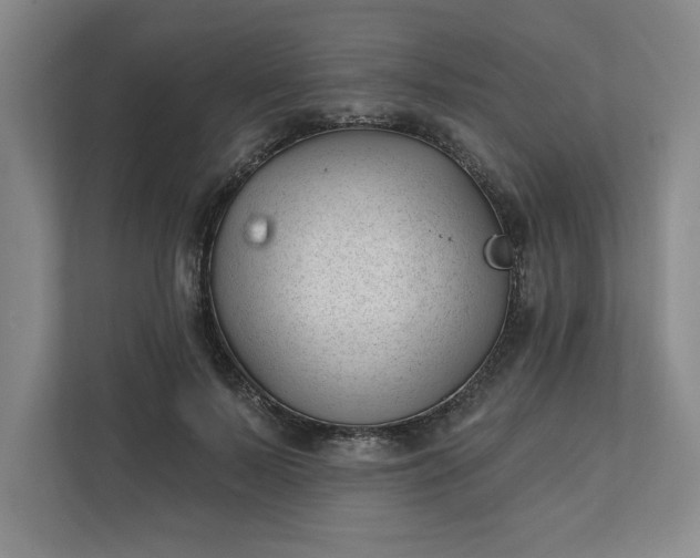 X0000112390695200908271340