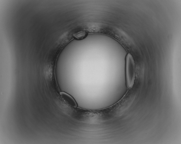 X0000112390697200908271340