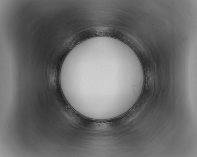 X0000112390698200908271340