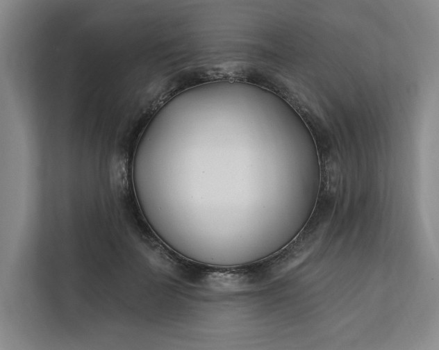 X0000112390699200908271340