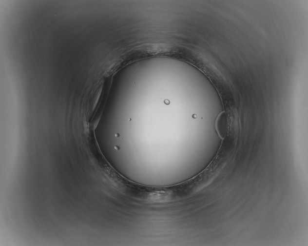 X0000112390700200908271340