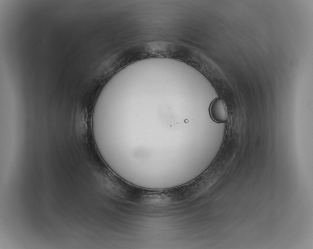 X0000112390702200908271340