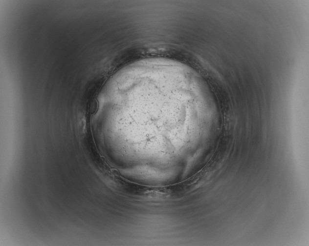 X0000112390703200908271340