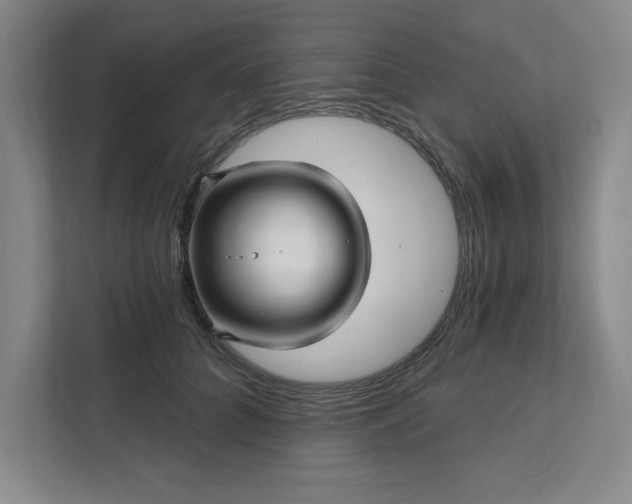 X0000112390704200908271340