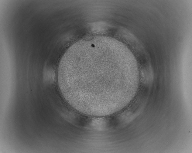 X0000112390705200908271340