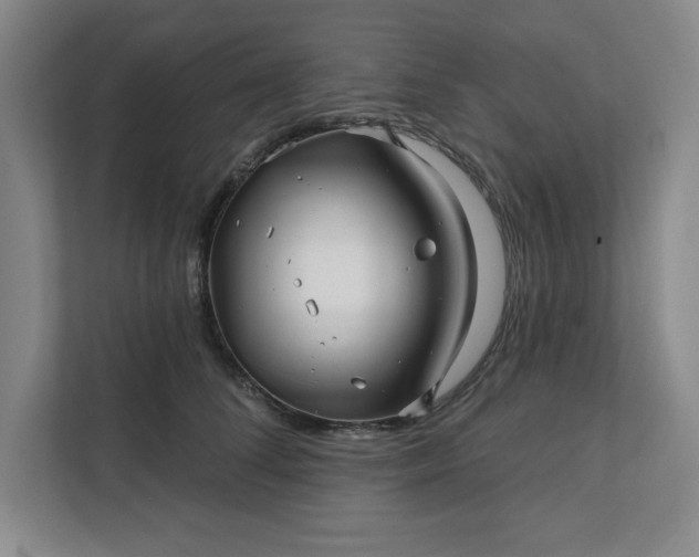 X0000112390708200908271340