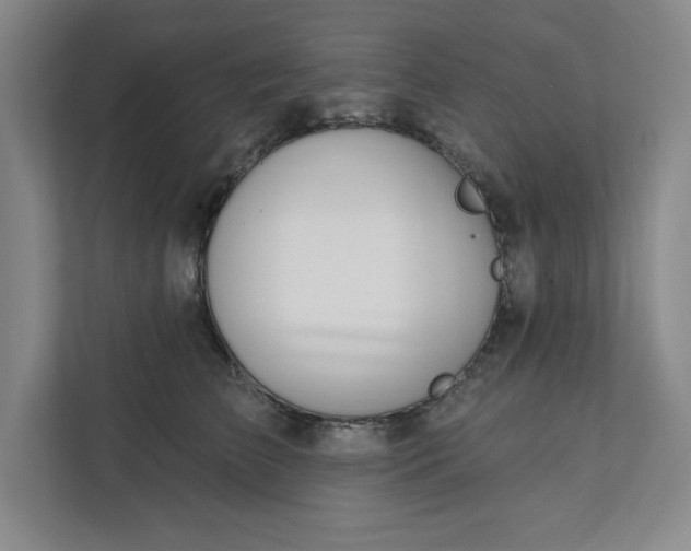 X0000112390709200908271340