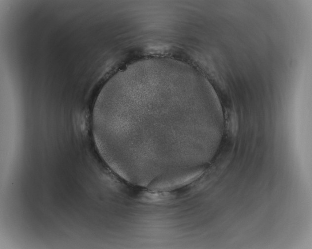 X0000112390712200908271340