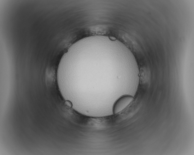 X0000112390713200908271340