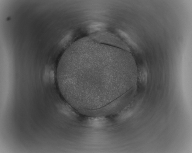 X0000112390716200908271340