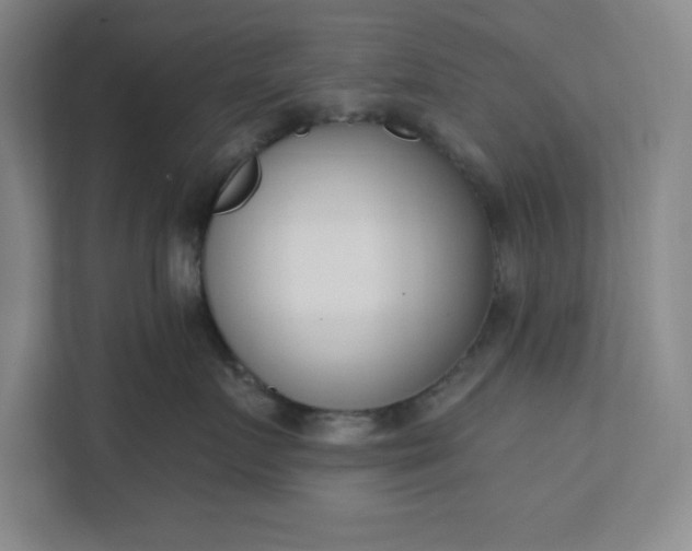 X0000112390719200908271340