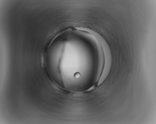 X0000112390720200908271340